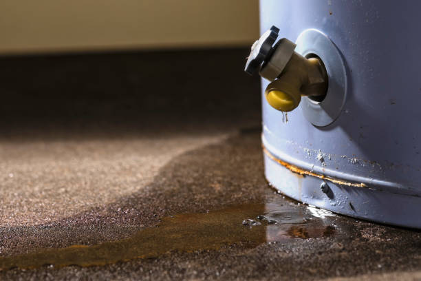Best Water damage cleanup near me  in Cane Savannah, SC