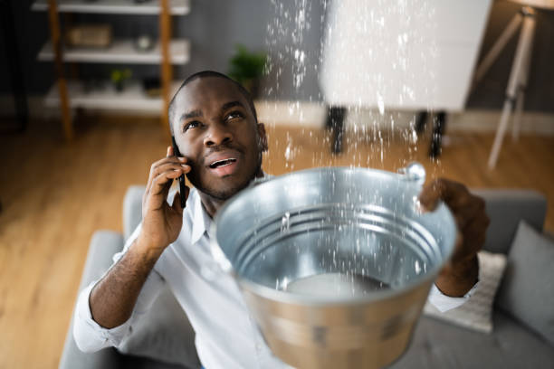 Best Mold removal after water damage  in Cane Savannah, SC