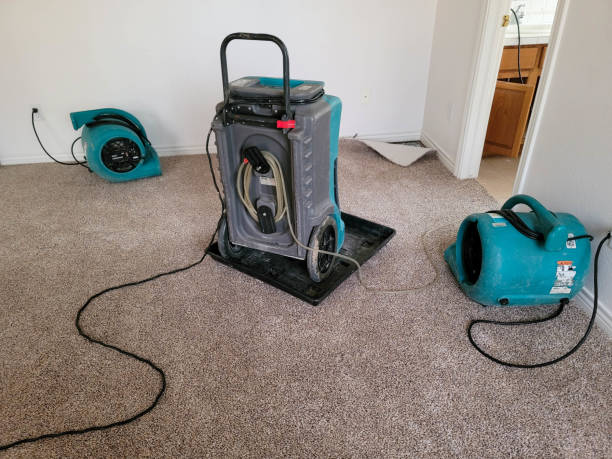 Best Water damage restoration mold remediation  in Cane Savannah, SC