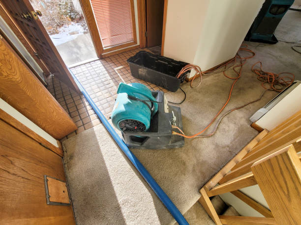 Best Flood damage cleanup  in Cane Savannah, SC