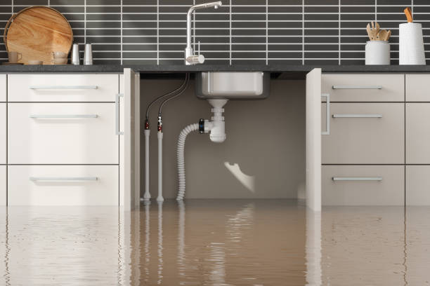 Water damage restoration experts in SC